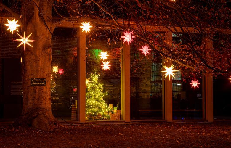Herrnhuter Sterne im Baum, Weihnachtsbaum im Fenster