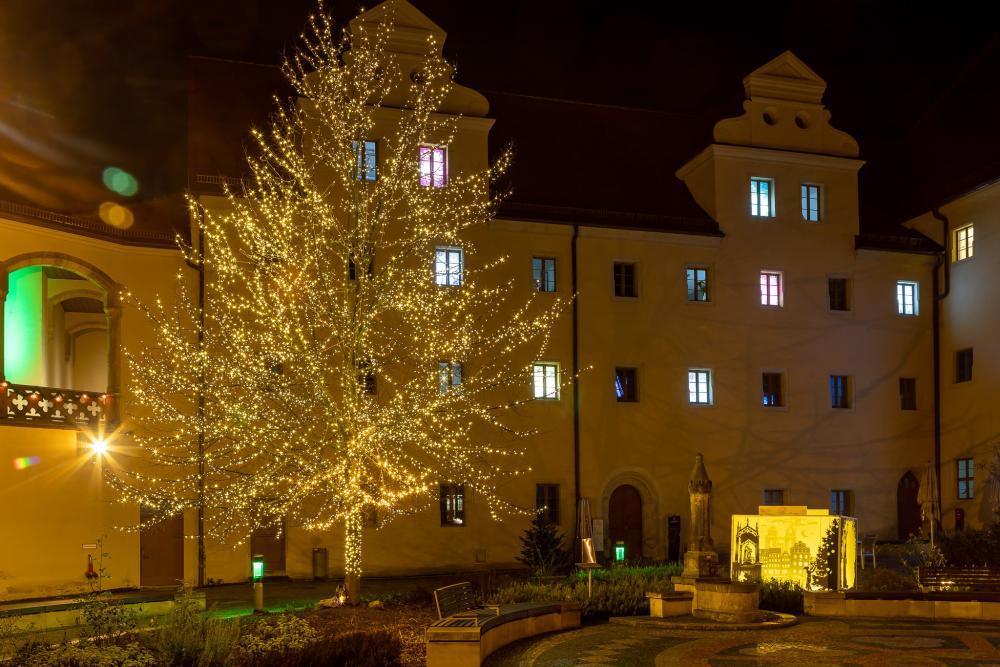 beleuchteter Baum im Lutherhof