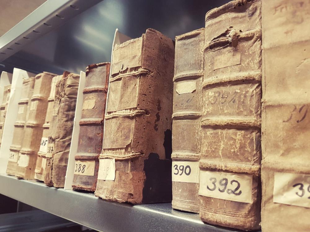 Reihe alter brauner Bücher, Metallregal