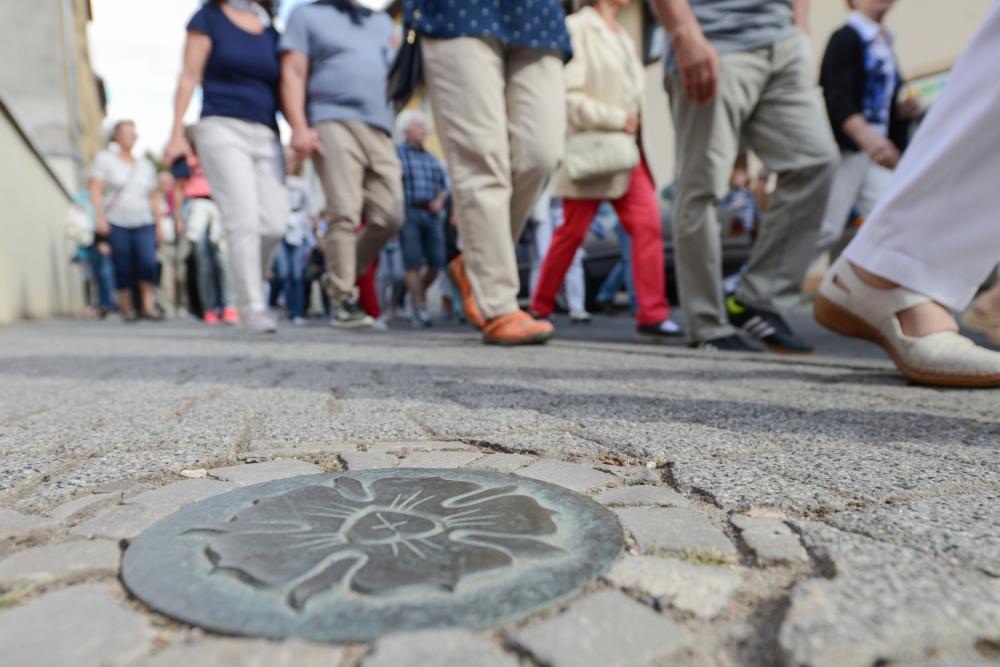 Lutherrose auf Pflastersteinen / Fußboden, im Hintergrund viele Beine