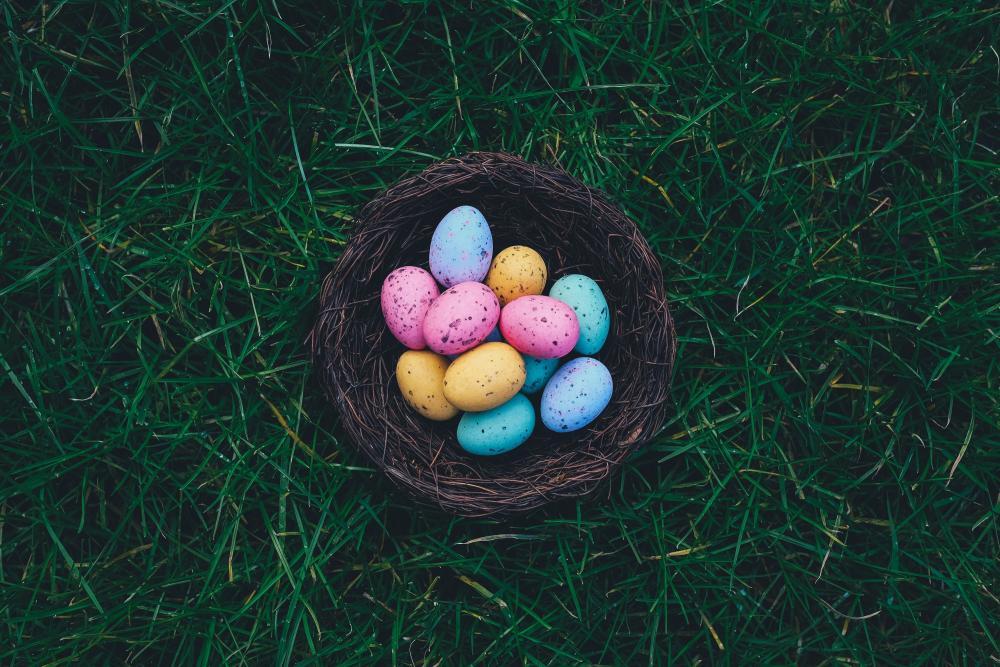 Grasfläche, braunes Nest mit bunten Eiern - mittig